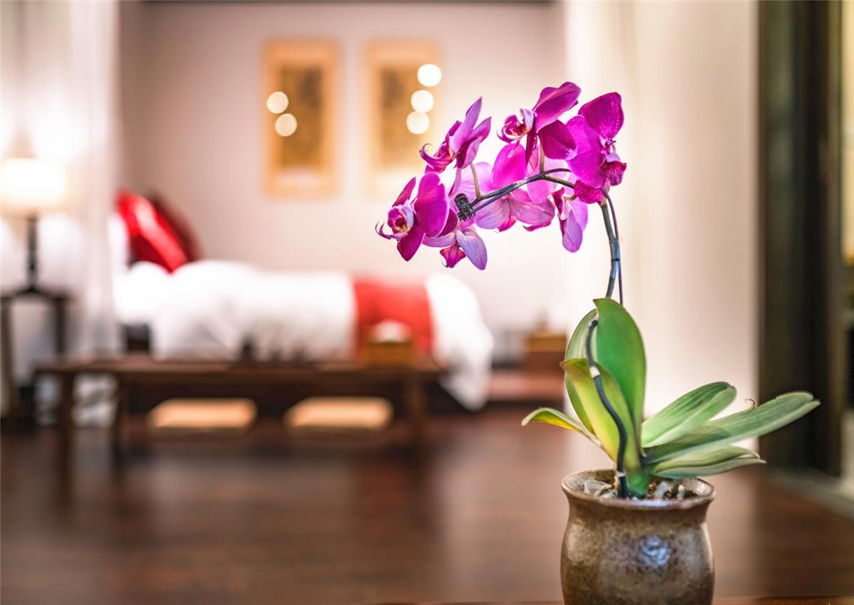 Dasein Youlan Hotel-near The Forbidden City, Tiananmen Square, Guijie Street, Beihai Park, Jingshan Park, And Yonghe Temple Beijing