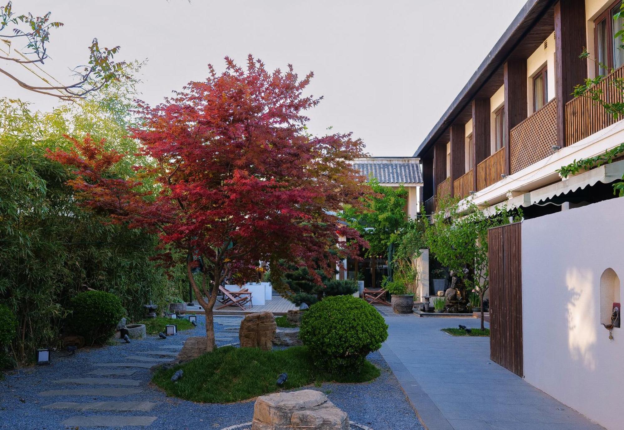 Dasein Youlan Hotel-near The Forbidden City, Tiananmen Square, Guijie Street, Beihai Park, Jingshan Park, And Yonghe Temple Peking